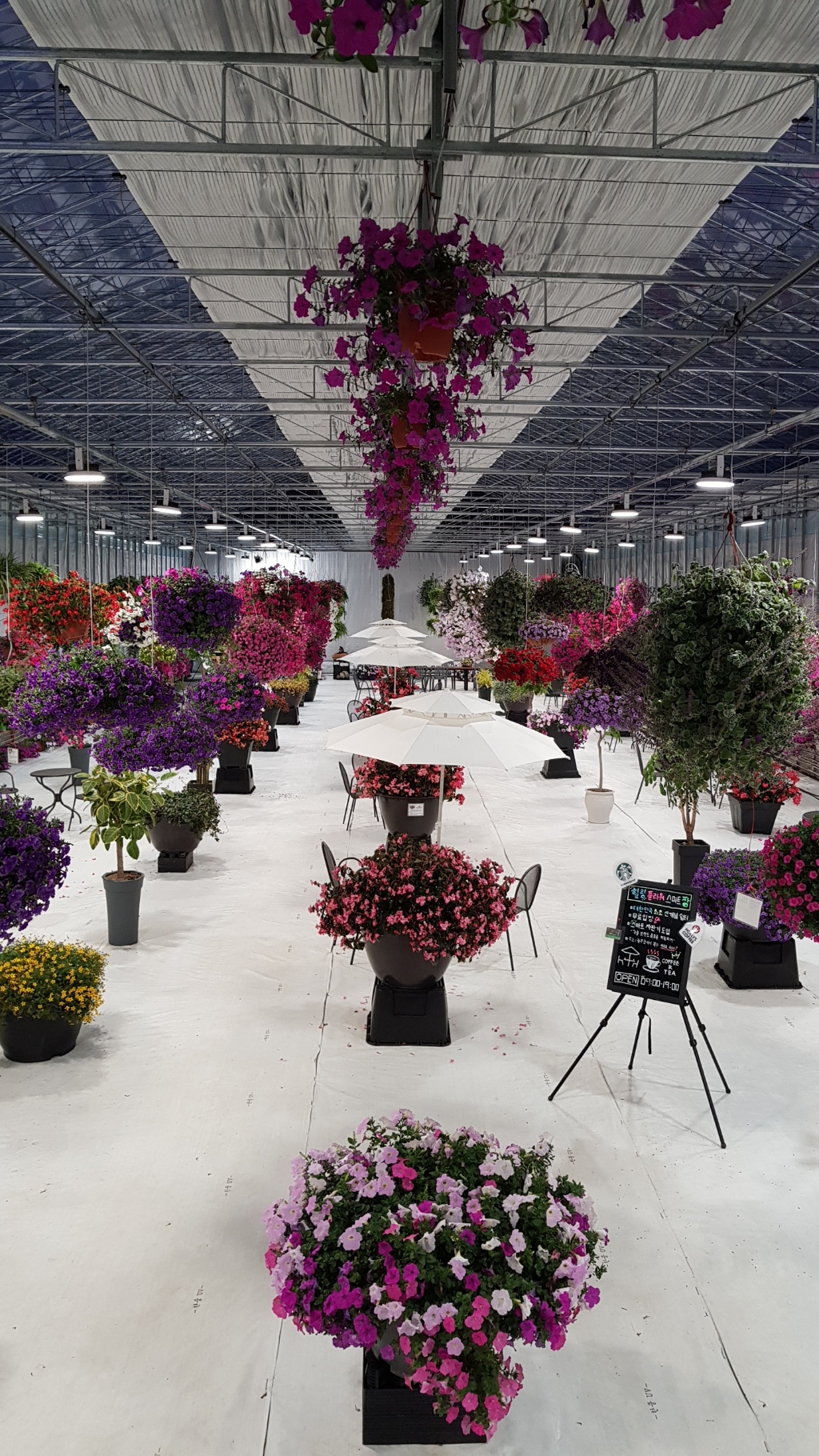 우리나라에서 광주에만 있는 특이한 공간 | 인스티즈