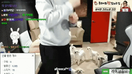 어느 한 bj의 별풍선 리액션.gif | 인스티즈