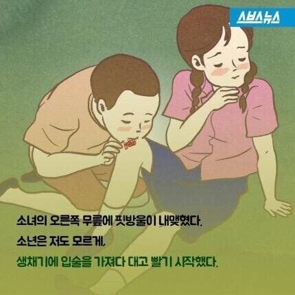 소설 소나기의 소녀가 죽은 이유 | 인스티즈