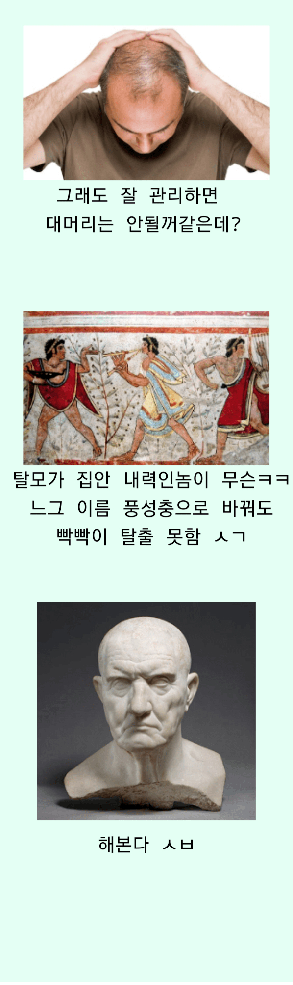 대머리 나비효과 레전드 | 인스티즈