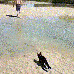 집사야 같이가자 | 인스티즈