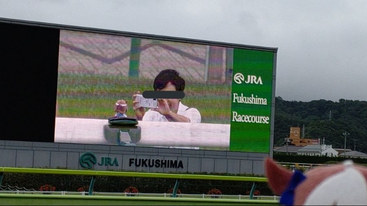 경마장에서 벌어진 박제사건 | 인스티즈