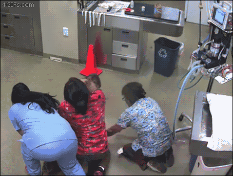 뜻밖의 시리즈.gif | 인스티즈