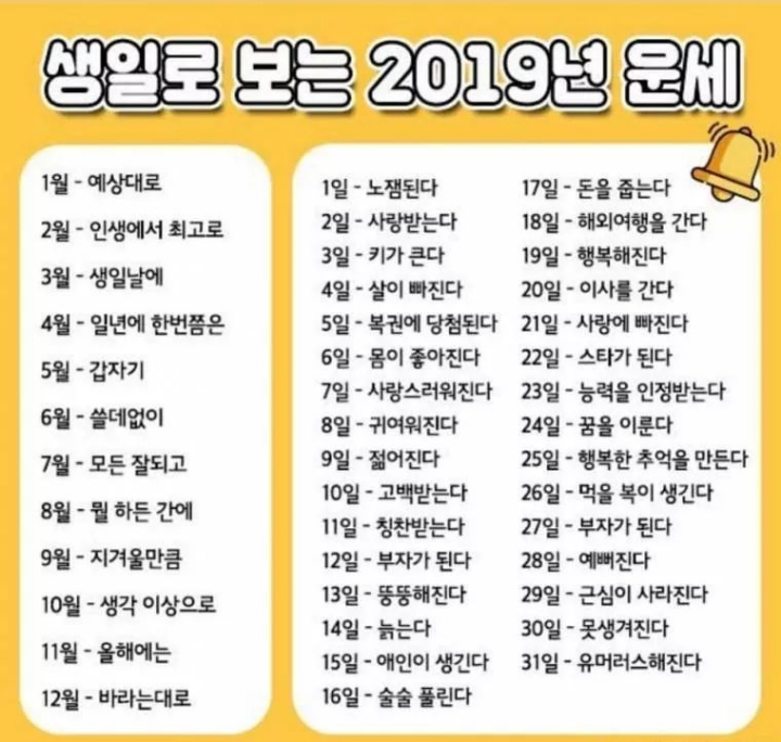 생일로보는 2019년 운세 | 인스티즈