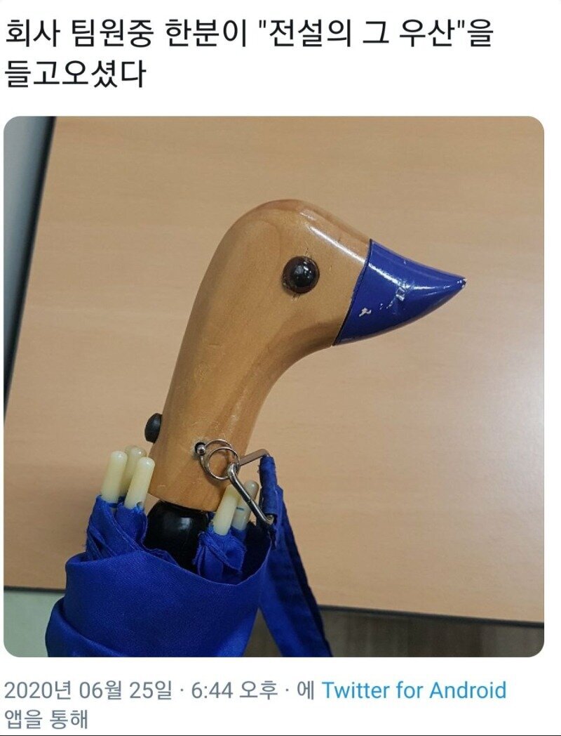 전설의 그 우산 | 인스티즈