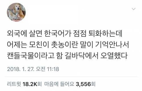 외국에 살아서 점점 한국말이 퇴화해가는 한국인 . JPG | 인스티즈