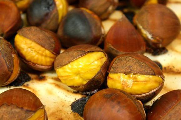 겨울간식 최고는?.JPG | 인스티즈