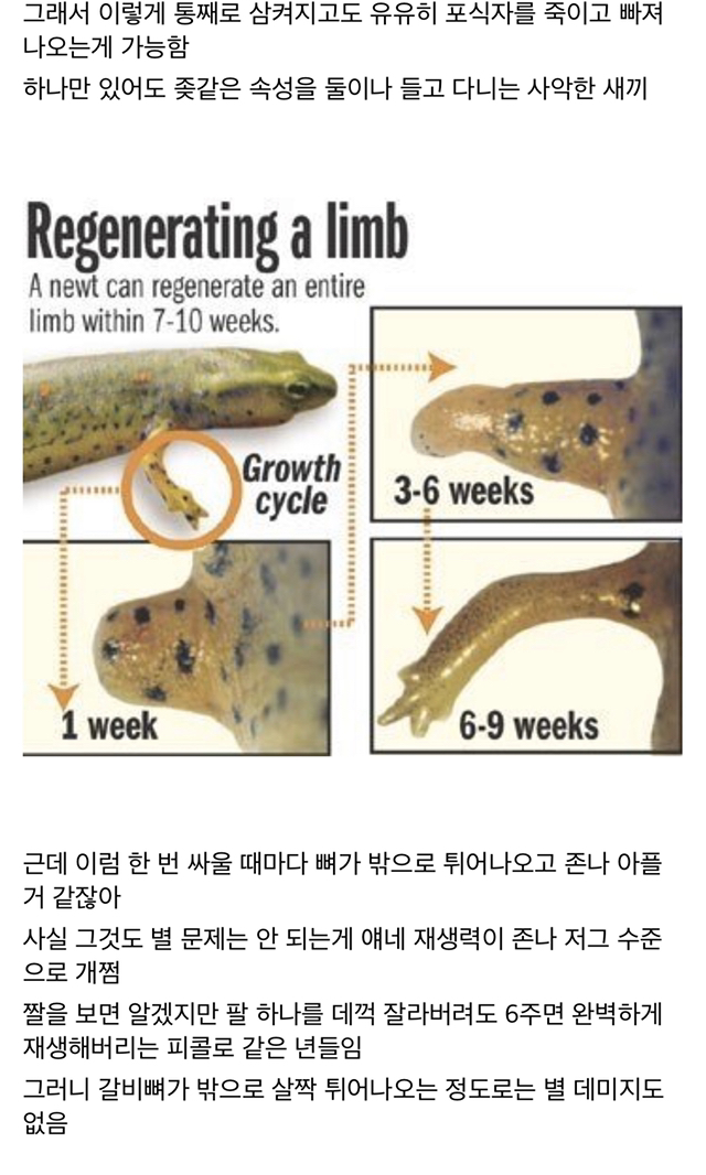 기묘한 현실 저그 | 인스티즈