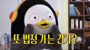 펭하(펭수 하이라는 뜻) | 인스티즈