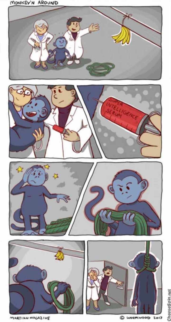 지능을 높이는 약을 투여했다.JPG | 인스티즈