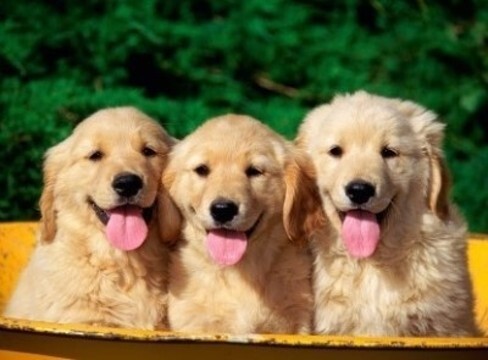 본인의 결혼계획은? | 인스티즈