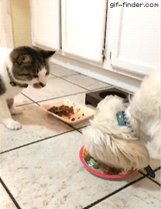 한국 에로영화 특) | 인스티즈