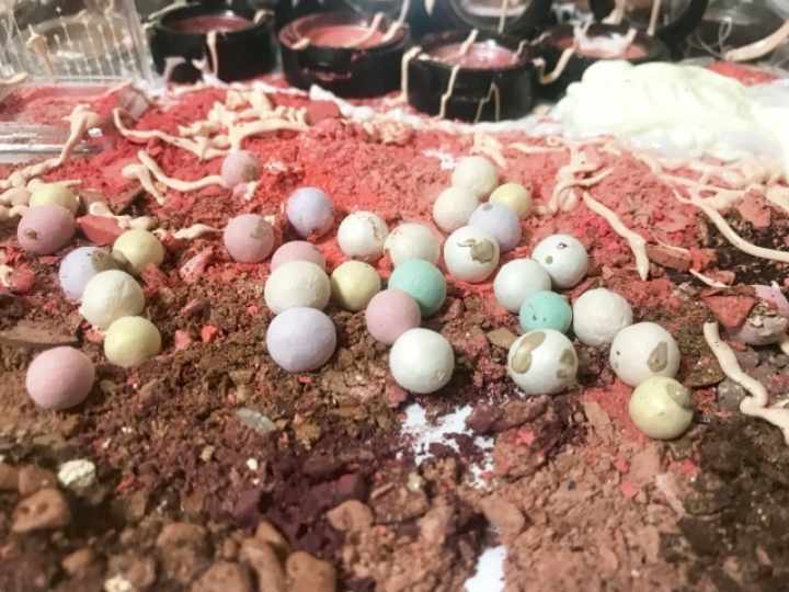 탈코인증 | 인스티즈