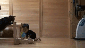 야 그것도 하나 제대로 못하니.gif | 인스티즈