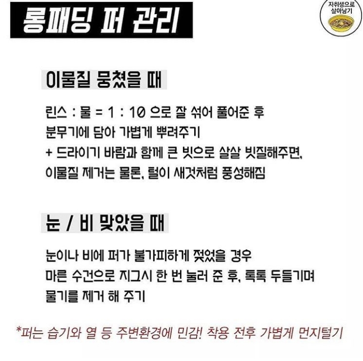 비싼 롱패딩 관리법 | 인스티즈