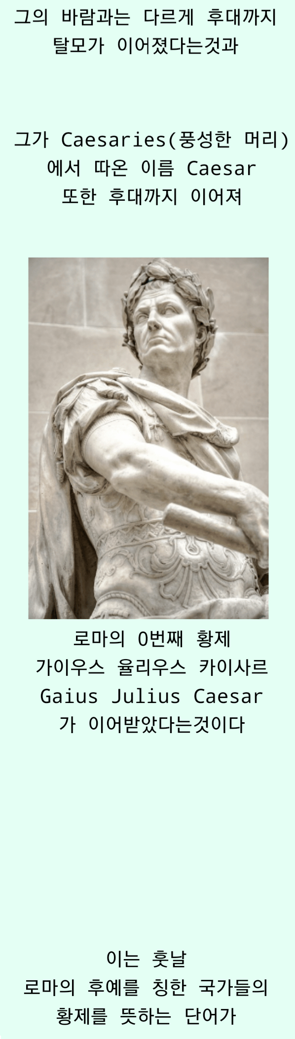 대머리 나비효과 레전드 | 인스티즈