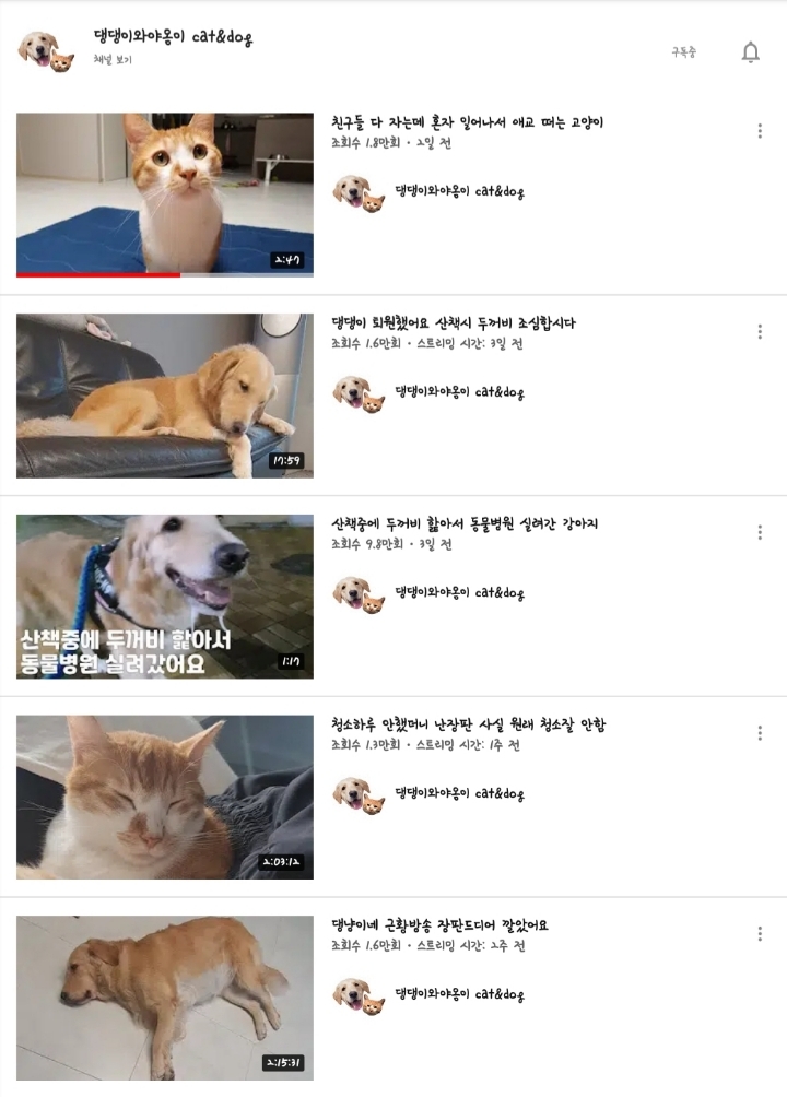 Vol.1 내가 구독하고 보는 유튜브 채널 모음(섹스, 연애, 심리, 역사, 반려동물, 축구, 지식) | 인스티즈