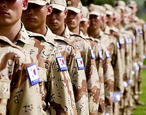 어느 한 디씨인의 파병다녀온 썰 .txt | 인스티즈