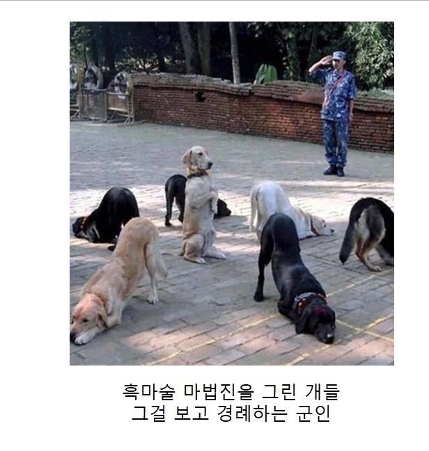 자세히 보면 이상한짤 | 인스티즈