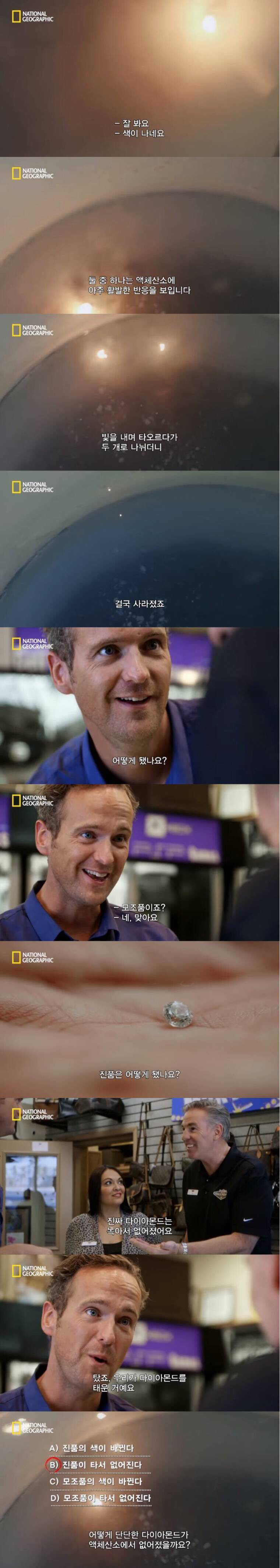 가짜 다이야 구별 | 인스티즈