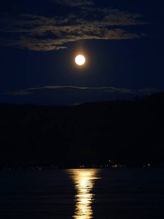 당신이 사라진 밤 | 인스티즈