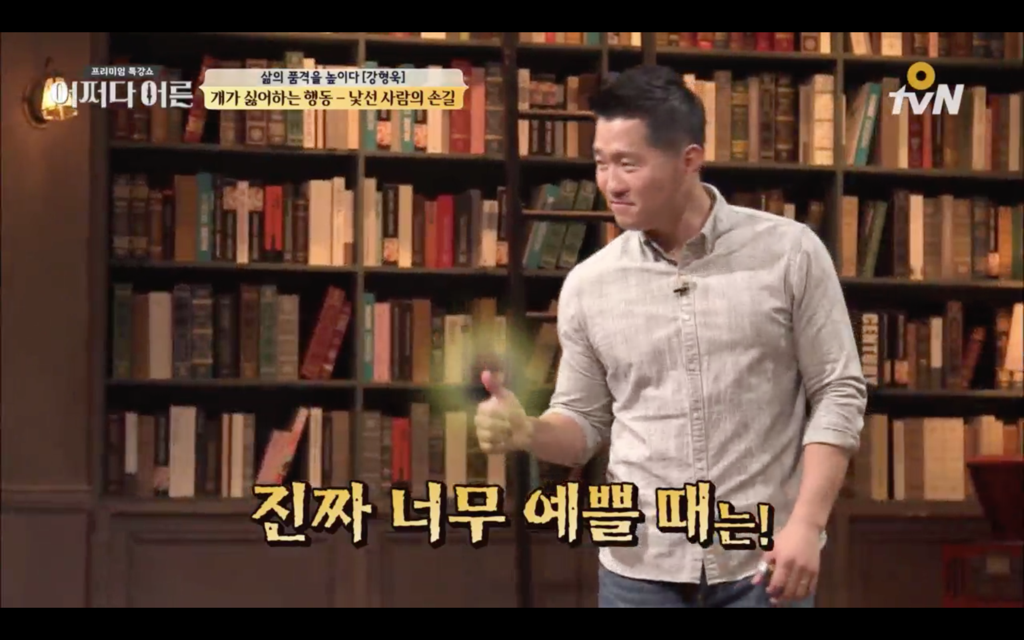 지나가다 귀여운 댕댕이를 볼때 어떻게 반응해야하나 | 인스티즈