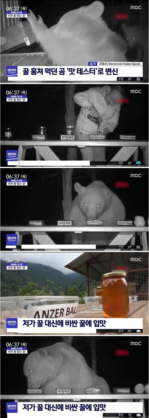 꿀 블라인드 테스트 | 인스티즈