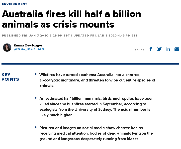 코알라는 이제 인간의 보조 없이 자생불가.news | 인스티즈