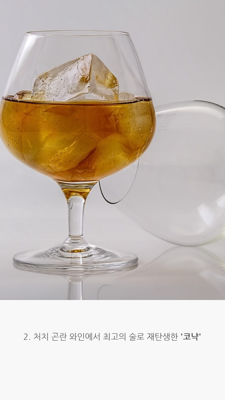 전세계적으로 인정받은 세가지술에 얽힌 이야기 | 인스티즈