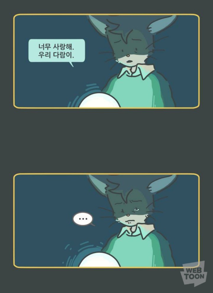 병원에서 죽음을 맞이한 고양이와 마지막을 지키지 못한 주인 | 인스티즈