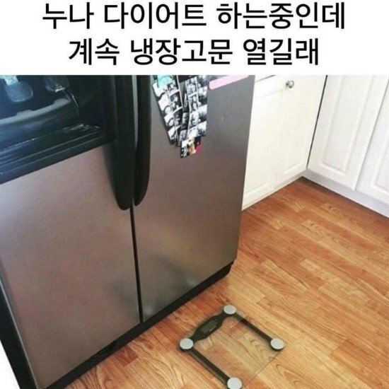 친누나 사랑하면 이정도는 가능하잔아? | 인스티즈