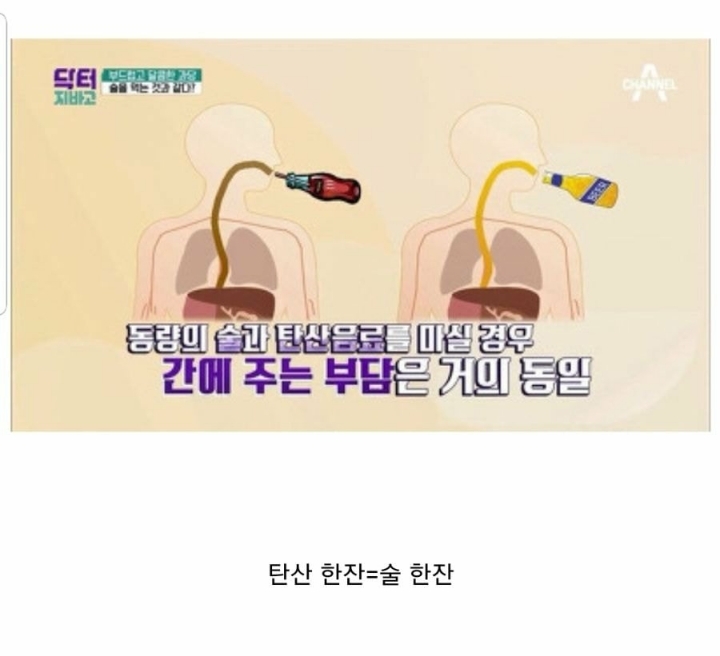 탄산음료 안좋은 이유.JPG | 인스티즈
