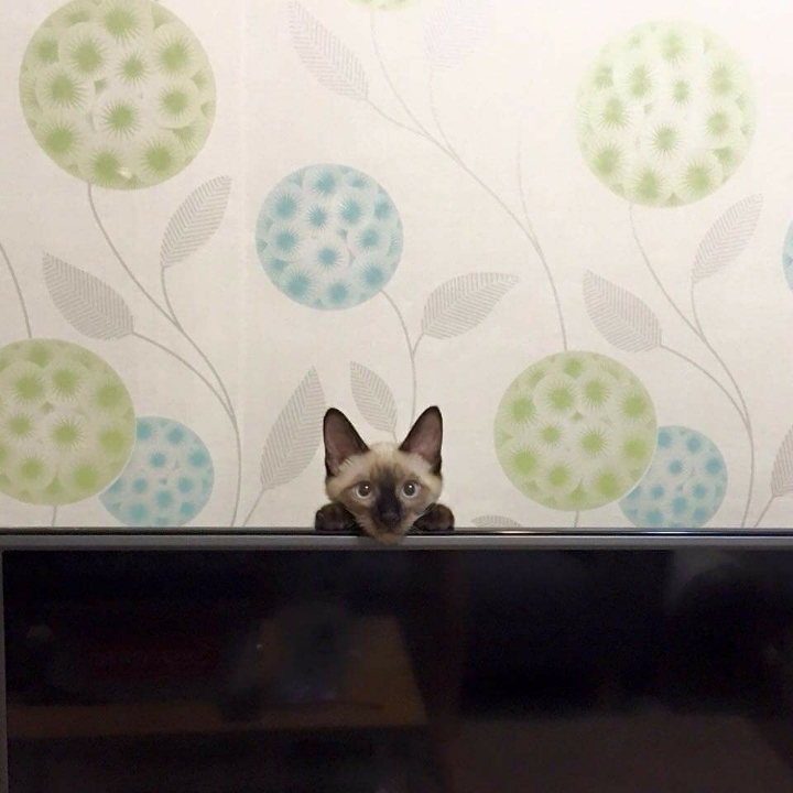 추석 특선 영화 2020 | 인스티즈