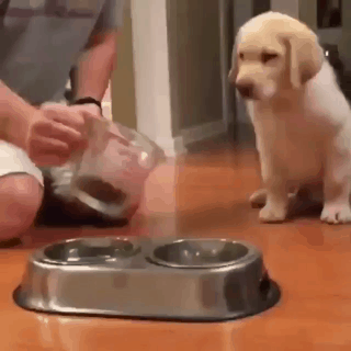 인절미 식전기도 | 인스티즈