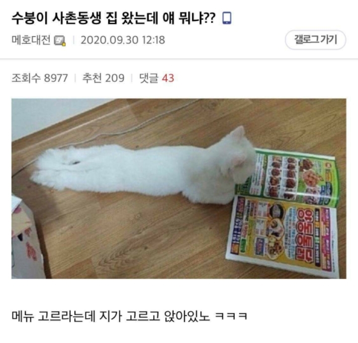 올해도 시작된 2020추석 레전드 | 인스티즈