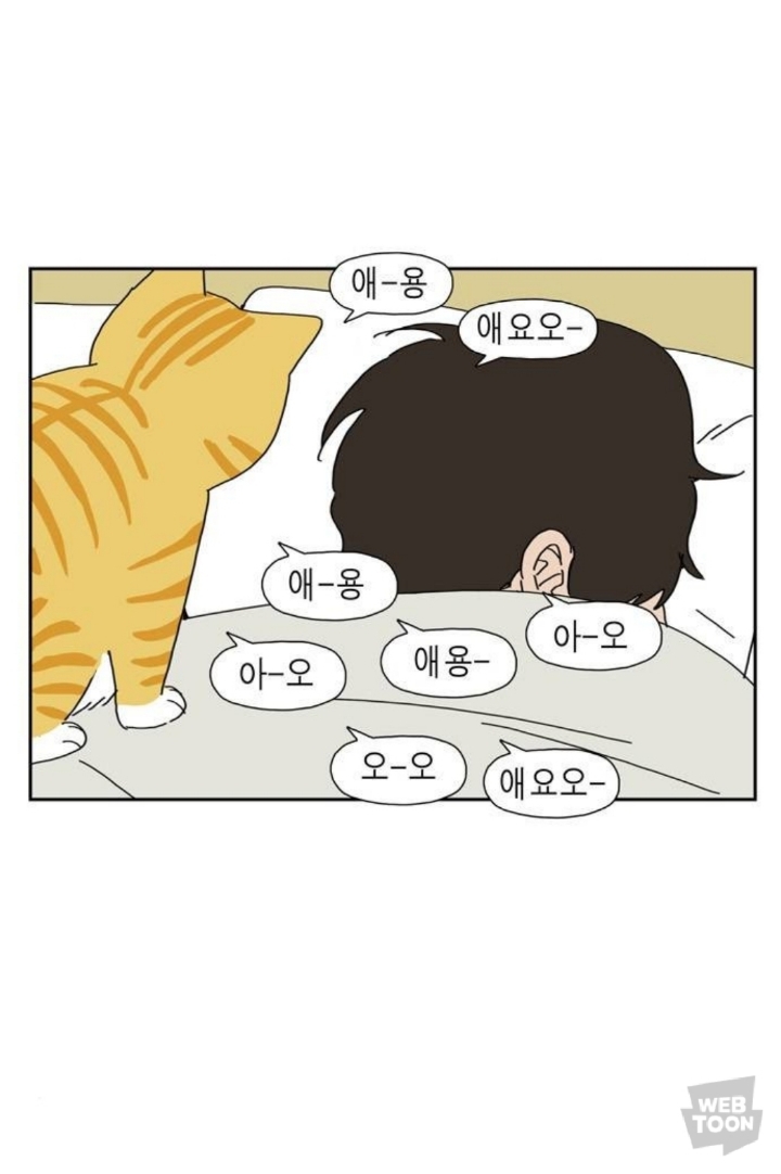 애완동물 키우면 매일 비슷한 시간에 깨는 이유.jpg | 인스티즈