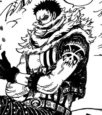 재미로보는 원피스 전투력 top21 | 인스티즈