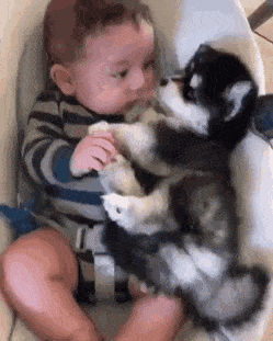 댕댕이가 신기해서 만져보는 아기.gif | 인스티즈