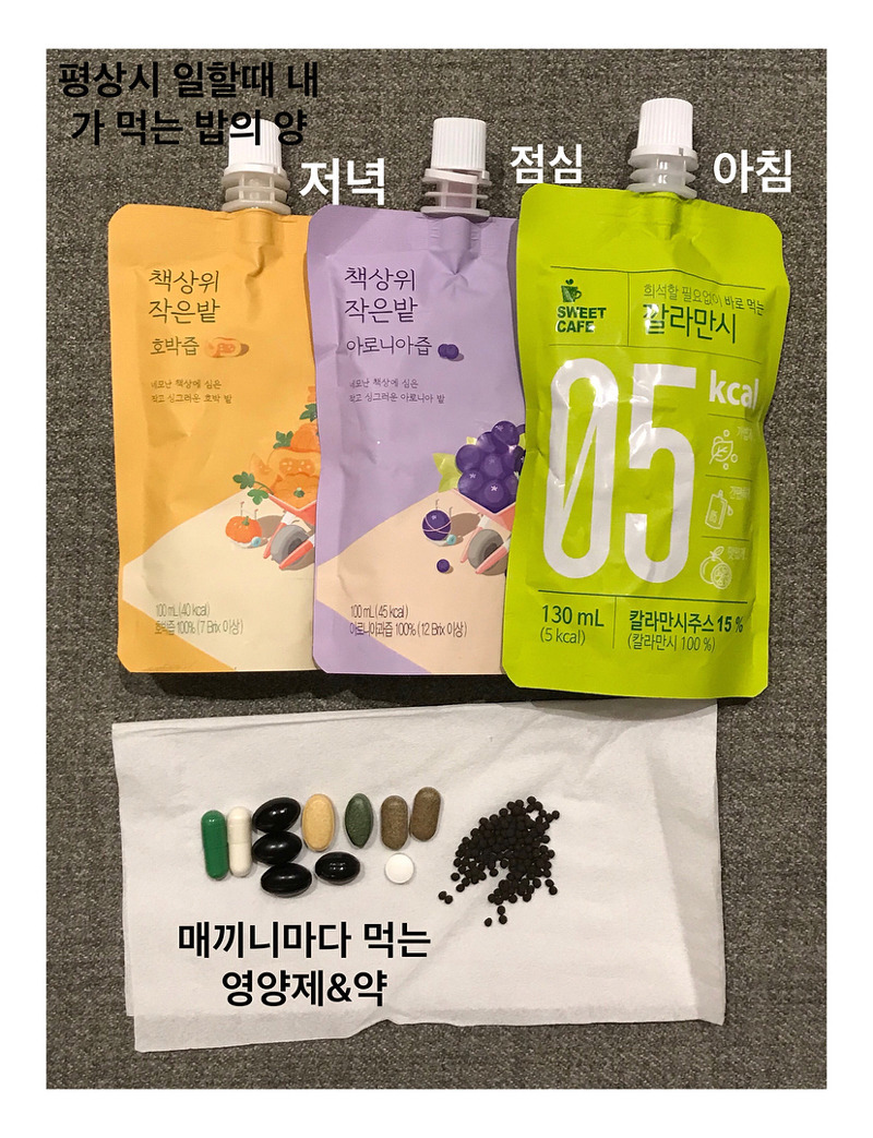 활동기 시즌엔 하루에 90칼로리 먹는다는 모델 최소라 | 인스티즈