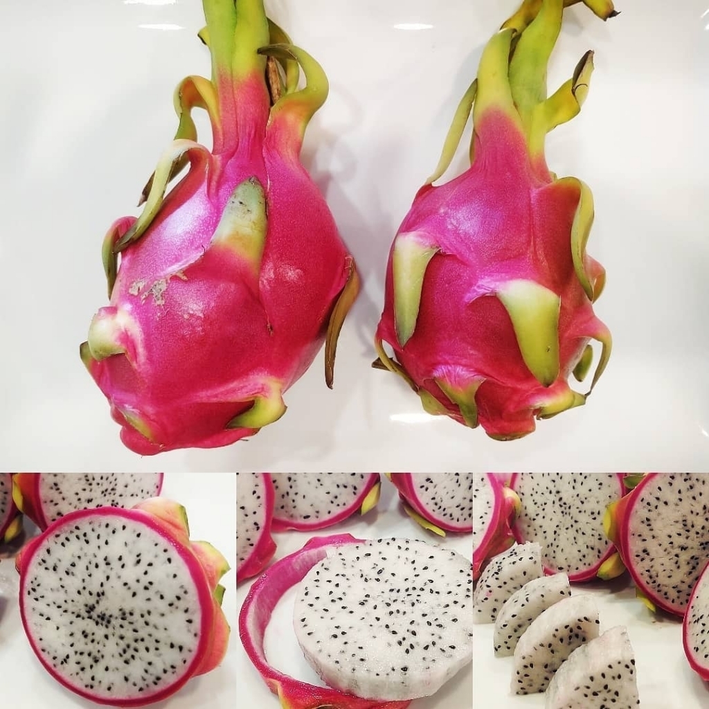 이거 먹어본 적 있다 vs 없다 | 인스티즈