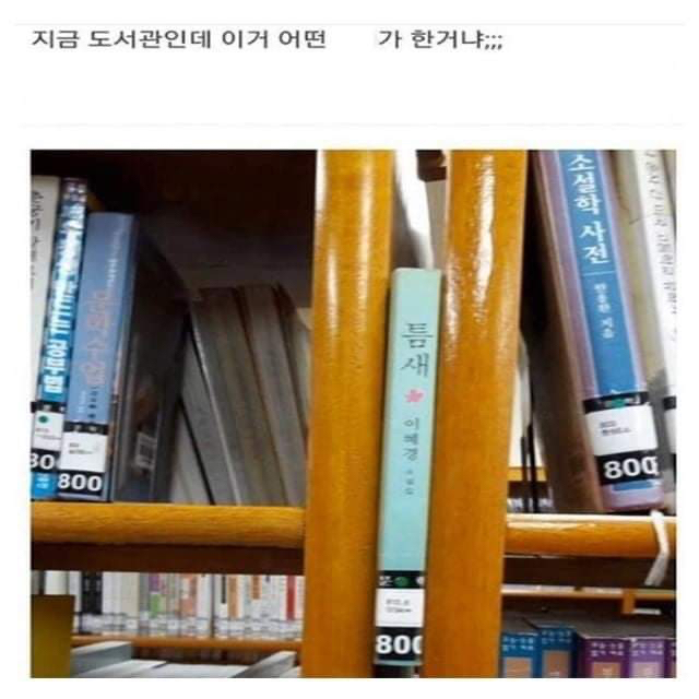 웃긴 버스기사 봄ㅋㅋ.jpg | 인스티즈