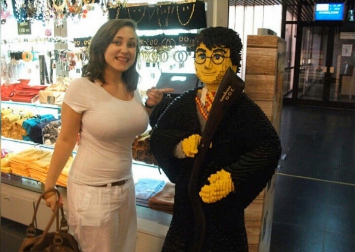 레고로 만든 해리포터 | 인스티즈