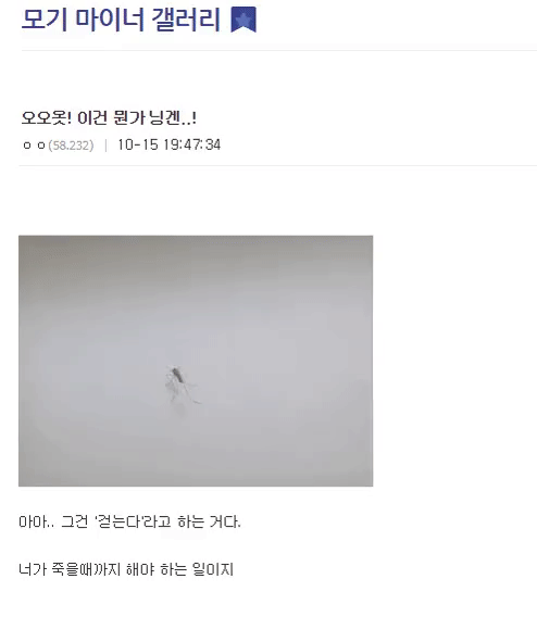 모기 새끼 다양하게 고문하는 모기 갤러리.jpgif | 인스티즈