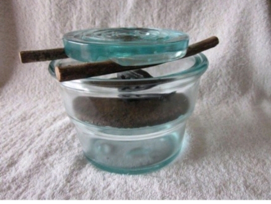 탐지기 안통하는 | 인스티즈