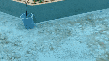 일하는데 옆에서 노는애.jpg | 인스티즈