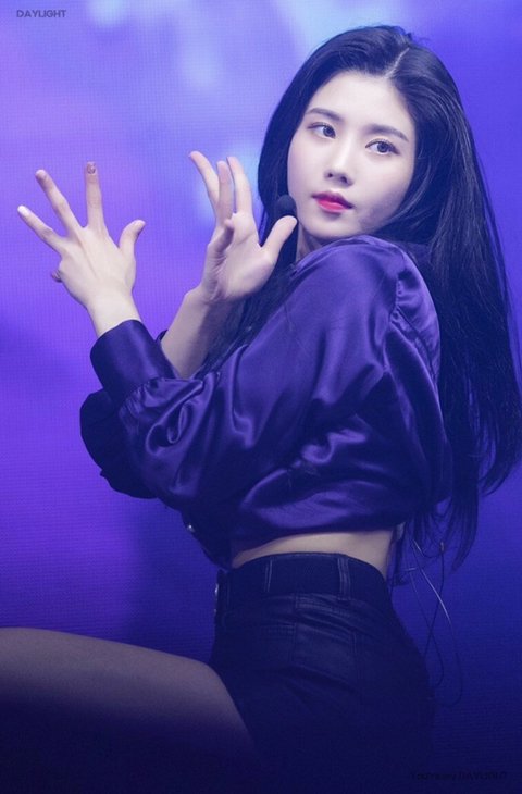 더쿠 사쿠라의 아이즈원 소개 | 인스티즈