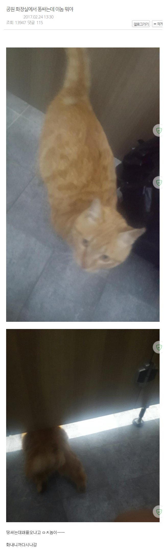 공원 화장실에서 똥싸는데 이놈 뭐야 | 인스티즈