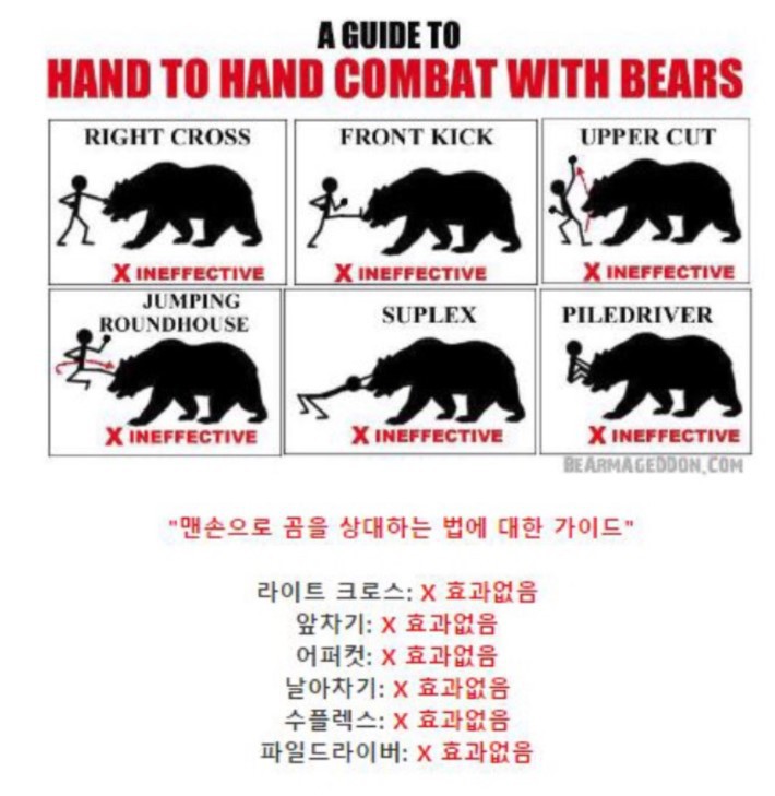 길가다 곰과 마주쳤을시 대처법 | 인스티즈