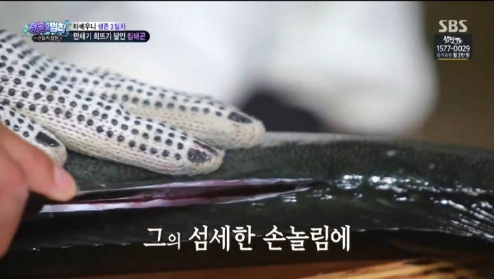 배우 이태곤의 회 뜨기 실력.jpg | 인스티즈