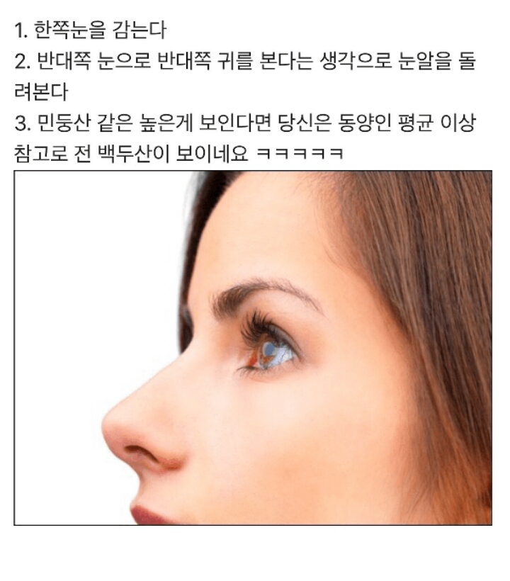 자신의 코가 높은지 알아보는 법 | 인스티즈